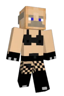 Rieno911 Minecraft avatar full body