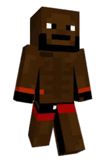 RifleTurtle Minecraft avatar full body