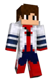 Rigsss Minecraft avatar full body