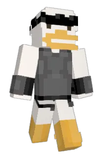 RiiC00 Minecraft avatar full body