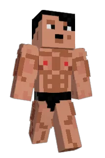 RiipeX_ Minecraft avatar full body