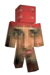 Riley0765 Minecraft avatar full body
