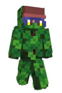 RileyRWF Minecraft avatar full body