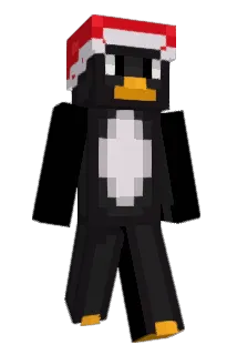 Rileyp24 Minecraft avatar full body