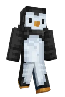 RimUnido Minecraft avatar full body