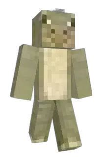 Rin5k Minecraft avatar full body