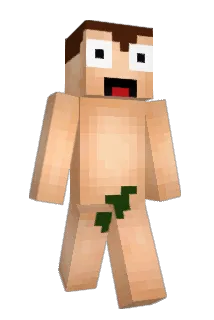 RinTin6203 Minecraft avatar full body