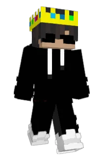 Rinceey Minecraft avatar full body