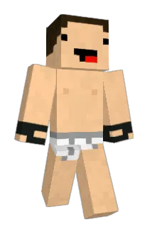RinderSchwengel Minecraft avatar full body