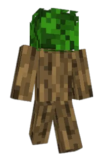 RingWraith722 Minecraft avatar full body
