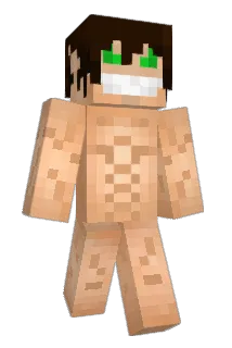 Ringdaily Minecraft avatar full body