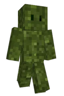 Rinsss Minecraft avatar full body