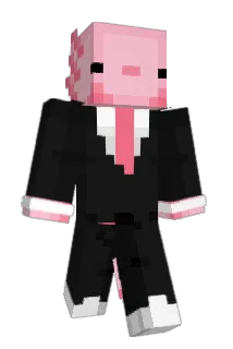 RioYT Minecraft avatar full body