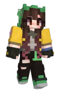 RipQtipp Minecraft avatar full body