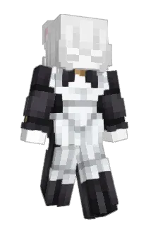 Ripiter303 Minecraft avatar full body