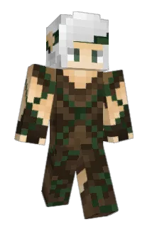 Rippedllama Minecraft avatar full body