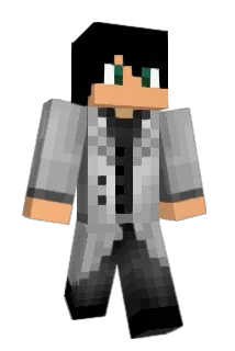RisenNinja Minecraft avatar full body