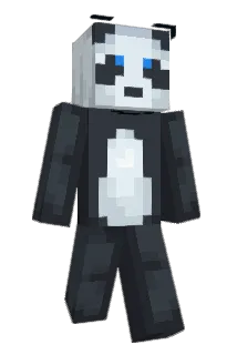 Risin247 Minecraft avatar full body