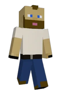 RiskyChicken Minecraft avatar full body