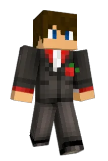 Ritsch71 Minecraft avatar full body