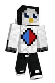 Rizwarrior Minecraft avatar full body