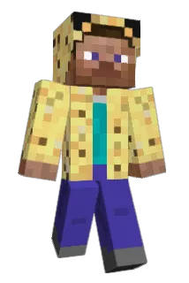 RndmJannik Minecraft avatar full body