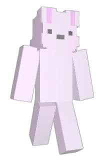 Ro_Da Minecraft avatar full body