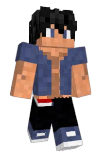 Roackeru Minecraft avatar full body