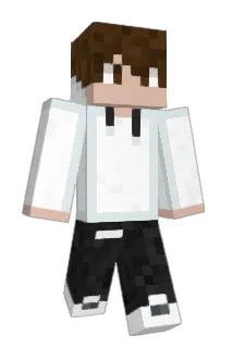 Robbe16 Minecraft avatar full body