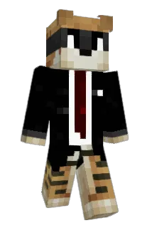Robbojonas Minecraft avatar full body