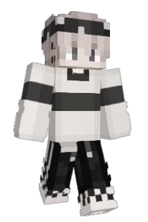 Robbyn333 Minecraft avatar full body