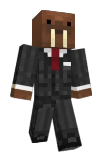 RobbzHD Minecraft avatar full body