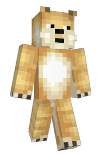 RobertXin Minecraft avatar full body