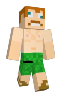 Roberto_s Minecraft avatar full body