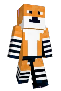 Robi_xd Minecraft avatar full body