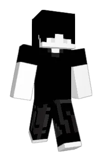 Robik55 Minecraft avatar full body