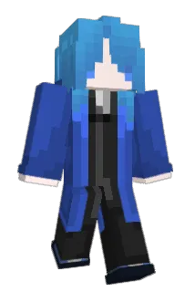 Robin009 Minecraft avatar full body