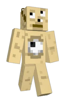 Robin121314 Minecraft avatar full body