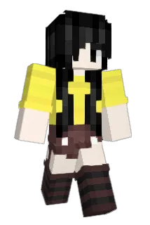 Robin4884 Minecraft avatar full body