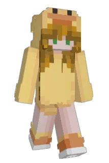 Robin8008 Minecraft avatar full body