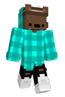 RobinBRKLY Minecraft avatar full body