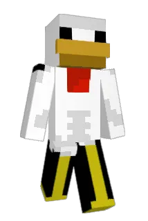 RobinNe Minecraft avatar full body