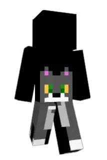 RobinYourDiamond Minecraft avatar full body