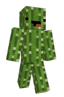 RobinZamani Minecraft avatar full body