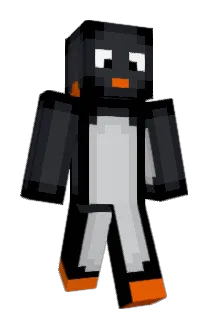 RobinZero Minecraft avatar full body