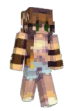 Robin_194 Minecraft avatar full body