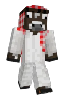 Robinhrudo Minecraft avatar full body