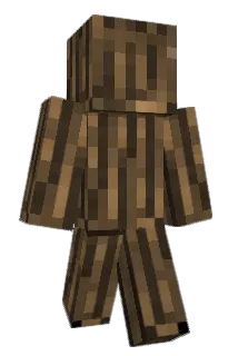 Robinindahood Minecraft avatar full body