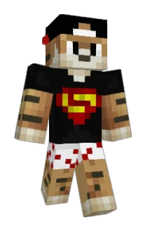 Robinkipp Minecraft avatar full body
