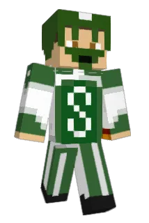 RobisS Minecraft avatar full body
